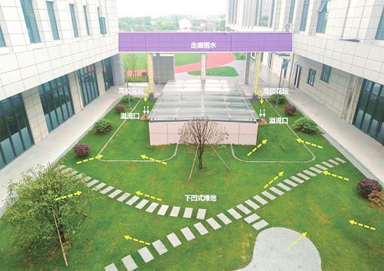 厚植生態底色　基地“暢快呼吸”
