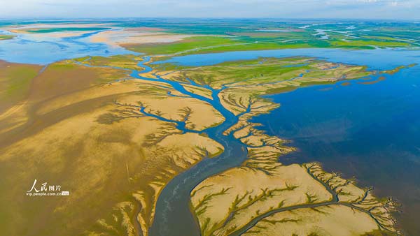 江西都昌：鄱陽(yáng)湖現(xiàn)“大地之樹”景觀
